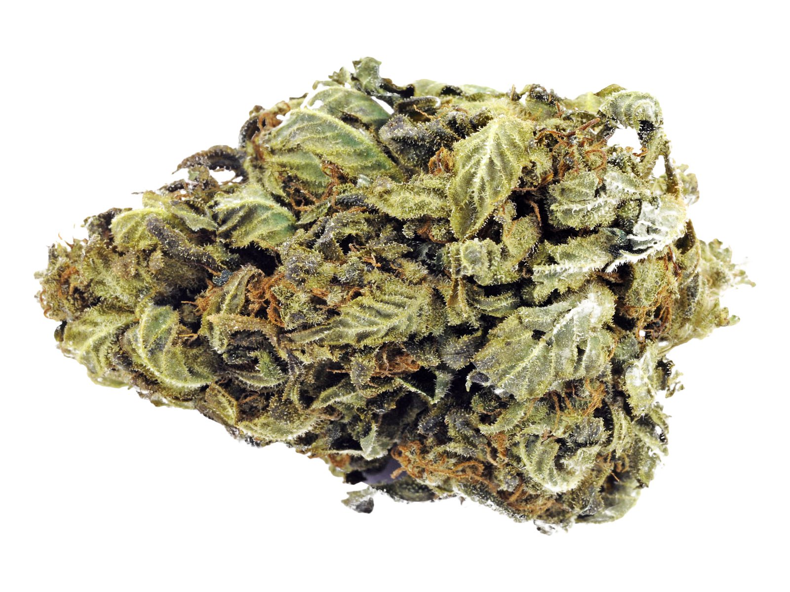 Lemon Haze